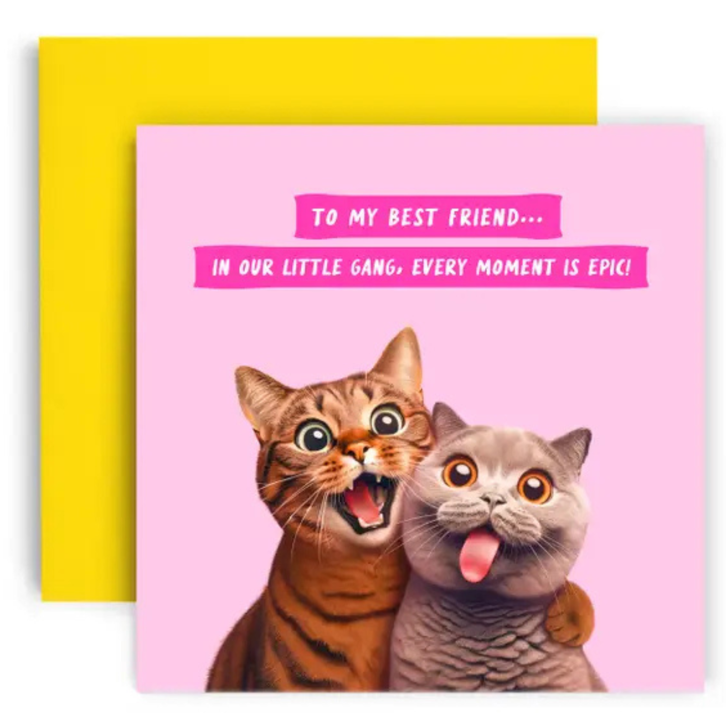 Greeting Cards By Huxters-Various Designs Available